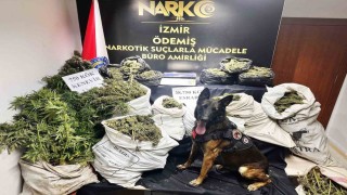 Hayvan damında uyuşturucu imalatı ve ticaretine polis operasyonu