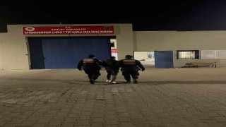 Hırsızlık suçundan aranan şahsı jandarma yakaladı