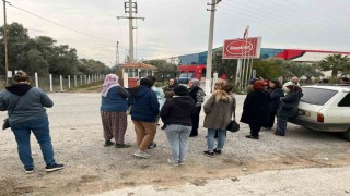 İşletme iflas etti alacaklılar kapıya dayandı