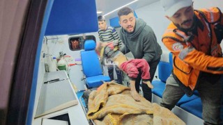İsrail, Gazzede yerinden edilmiş sivillerin barındığı okulu vurdu: En az 20 ölü, 35 yaralı