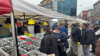 İstavritin bolluğu fiyatları düşürdü