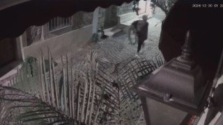 İzmirde bir garip hırsızlık: Bu da yılbaşı süsü hırsızlığı