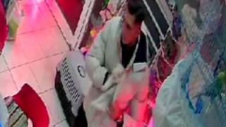 İzmirde şaşırtan hırsızlık: Cins kediyi montunun içine gizleyip çaldı