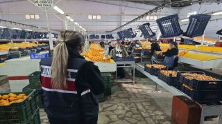 Jandarma ekipleri kadınları bilgilendirdi