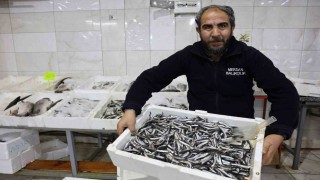 Kahramanmaraşta günlük 4 ton balık tüketiliyor