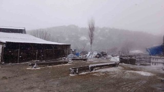 Kar, Balkanlardan Edirneye giriş yaptı: Sınır köyler beyaza büründü