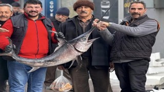 Karadenizden Erzincana gelen Kılıçbalığıyla poz verdiler