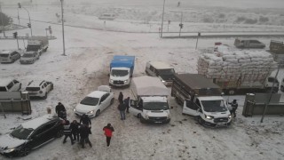 Kars Hayvan Pazarında polis 16 ayrı noktada denetim yaptı