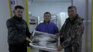 Kayseriden 6 ülkeye 10 bin 500 ton balık ihracatı