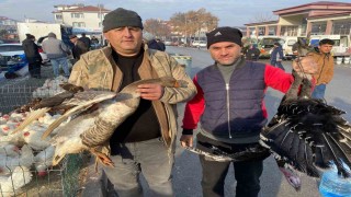 Kaz tüketimi arabaşına bağlı