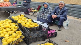 Kendi bahçesinde yetiştirdikleri ayvaları satarak 7 çocuk okuttular