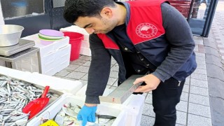 Kırklarelinde balıkçı denetimi