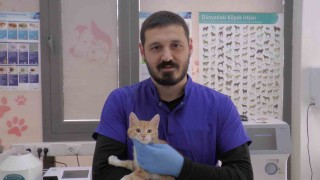 Kırsal bölgelerde yaşayan vatandaşlar ‘kurt uyarısı