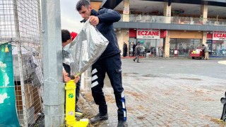 Kış günlerinde Bünyanda sokak hayvanlarına umut eli