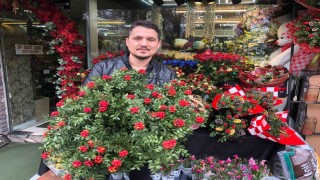 Kokina çiçeği Ispartada yoğun ilgi görüyor