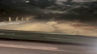Koruma altındaki oklu kirpi Elazığda görüntülendi
