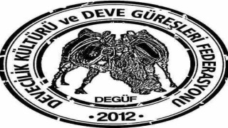 Köşkteki deve güreşleri iptal edildi