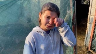 Küçükbaş Hayvanlar Telef Oldu, 12 Yaşındaki Kız Gözyaşlarına Boğuldu