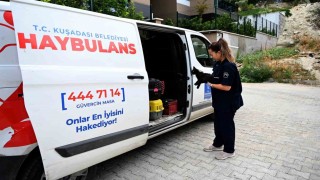 Kuşadası Belediyesinin Haybulans araçları 2024te can dostlara umut oldu