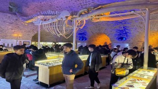 Kuşadasında Deniz Ticaret Tarihi Müzesine yoğun ilgi
