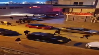Mardinde iki grup arasında kavga