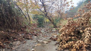Mesir Tabiat Parkında eşsiz manzaralar
