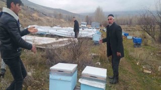 Muradiyede ayılar kovanlara ve kümes hayvanlarına saldırdı