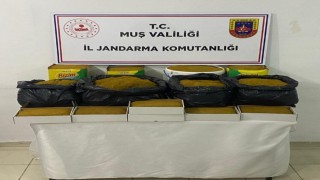Muşta 55 kilo bandrolsüz tütün ele geçirildi