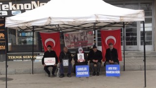 Muşta annelerin evlat nöbeti devam ediyor