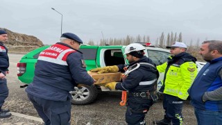 Muşta elektrik tellerine sıkışan puhu kuşu kurtarıldı