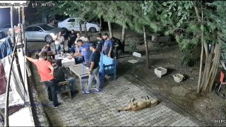 Narin Güran cinayetinde aile bireylerinin toplantı görüntüsü ile ilgili hazırlanan bilirkişi raporu mahkemeye sunuldu