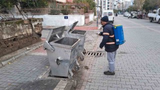 Nazilli Belediyesinden 12 ay boyunca larva mücadelesi