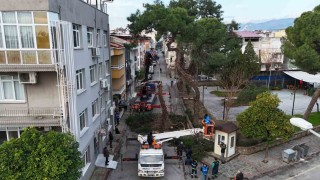 Nazillide tehlike oluşturan çam ağacı kaldırıldı