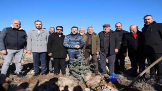 Nevşehirde yeni doğan ve ölenlerin isimleri fidanlarda yaşayacak