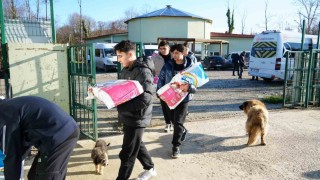Öğrencilerden sokak hayvanlarına 225 kilo mama bağışı