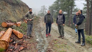 Orman Çalışmalarında Denetleme Yapıldı