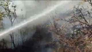 Osmaniyede çıkan orman yangını söndürüldü