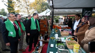 Osmaniyede Yeşil Altın Zeytin Festivali düzenlendi