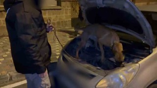 Otomobilin hava filtresinin altından uyuşturucu çıktı