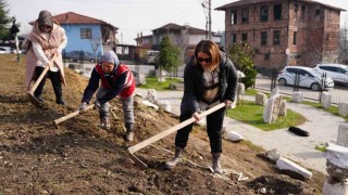 Park ve Bahçeler Müdürlüğü ekipleri bu sefer tarihi kentte kazı yaptı