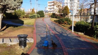 Park ve bahçelerde kış bakım çalışmaları