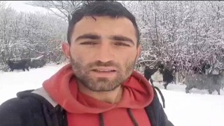 Reşadiyeli çoban karla mücadeleyi şarkılarla hafifletti
