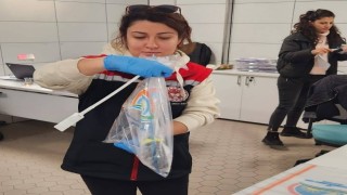 Rusyaya gidecek balıklardan numune alımları yapıldı