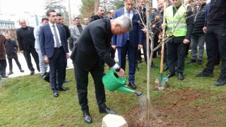 Sağlık Bakanı Prof. Dr. Kemal Memişoğlu, Bilecikte fidan dikti