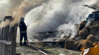 Samanlık ve ahır küle döndü: 3 büyükbaş telef oldu, 17si kurtarıldı