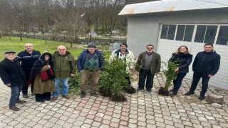 Samsun tarımında “Yeşil Yoldan Yeşil Bahçelere Projesi”