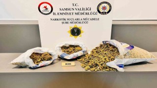 Samsunda 5 kilo 700 gram skunk ele geçirildi: 4 gözaltı