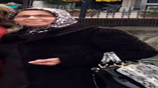 Sapanca Belediyesine ait çöp kamyonunun çarptığı kadın hayatını kaybetti
