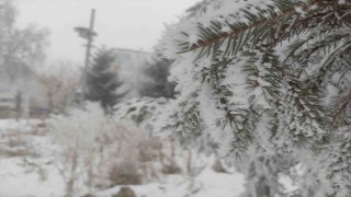 Sibirya soğukları Ardahanı dondurdu