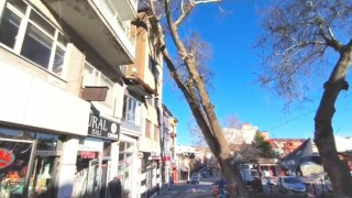 Simavda anıt çınar binanın üzerine devrildi